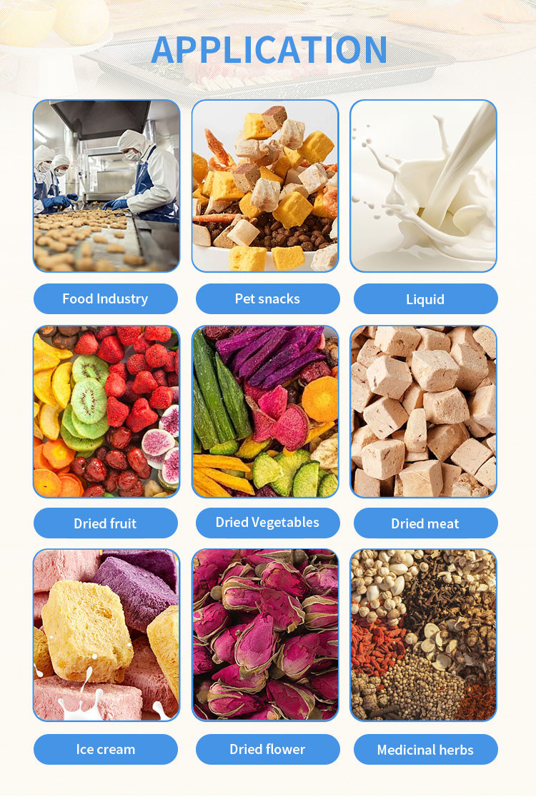 Rapid Cooling Vacuum Freeze Dryer Food Candy Pharmaceutica