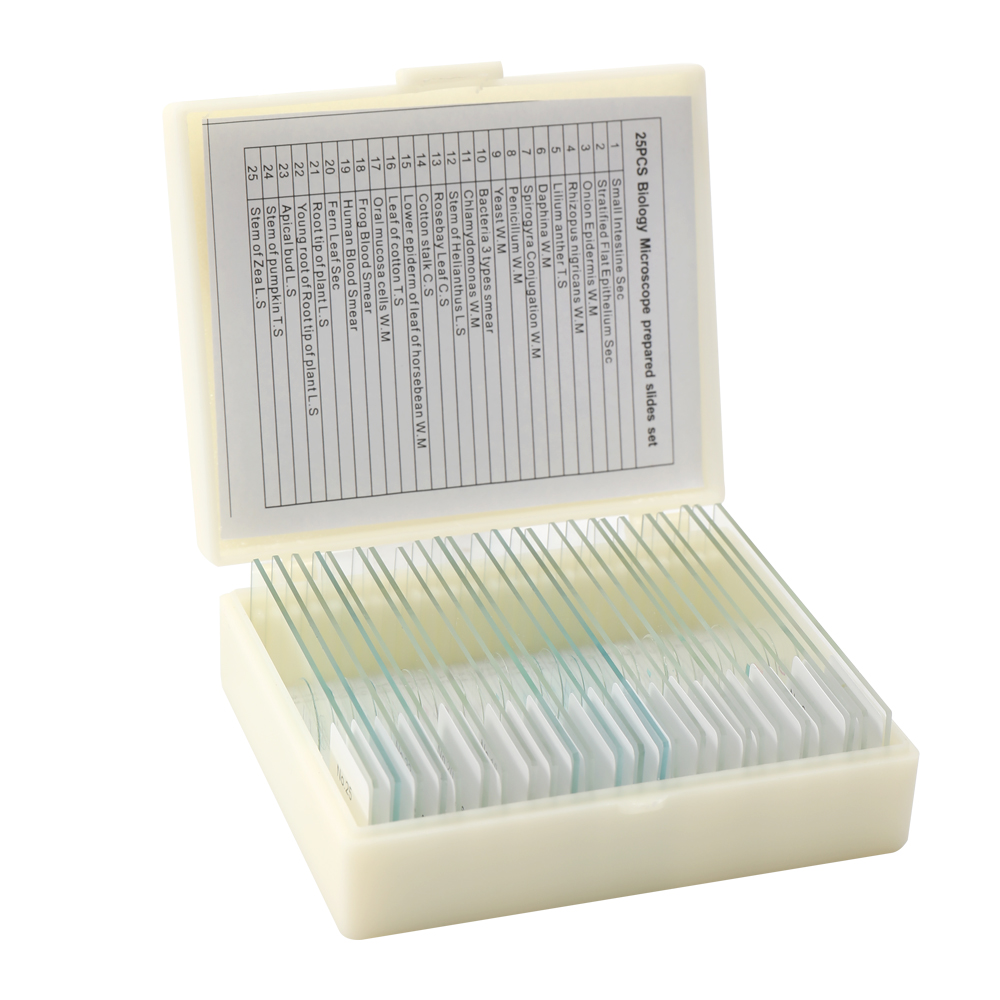 Lab Research Plastic Box 25pcs Pre Prepared Microscope Slides