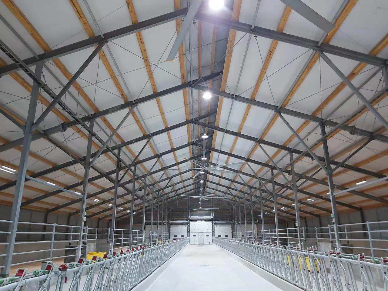 24ft Industrial Giant Ceiling Fan Manufacturer HVLS Fans For Farms