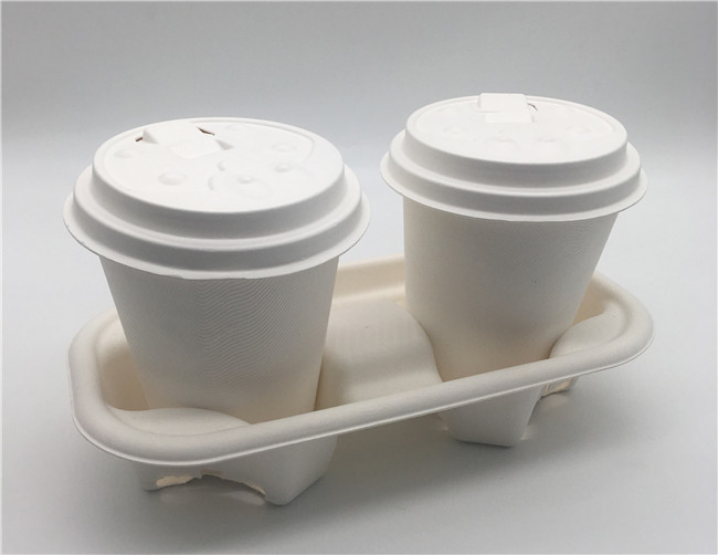 Zero Plastic Compostable Sugarcane Bagasse 2 Cup Carrier