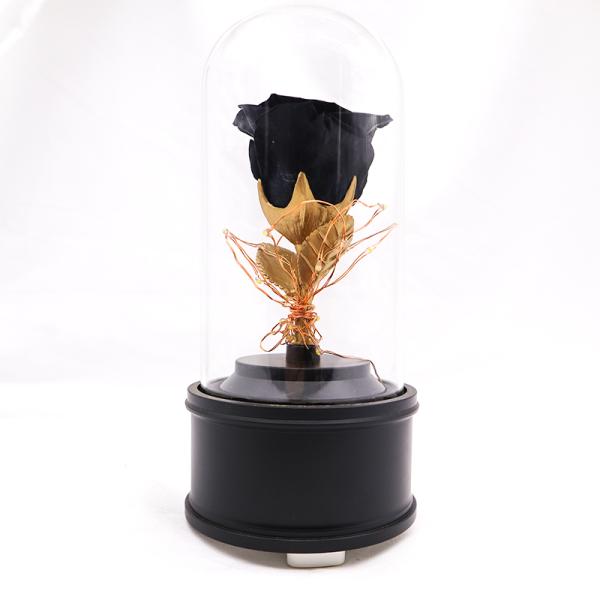 Wedding Gifts Gothic Dark Preserved Flowers In Glass With Bluetooth Speaker