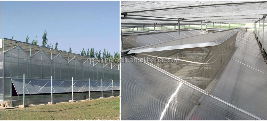 PC Plastic Polycarbonate Sheet Multi Span Hydroponic Greenhouse