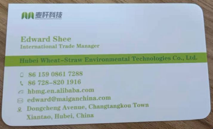 2022 FREE PLASTIC biodegradable disposable sugarcane bagasse Food fruit trays