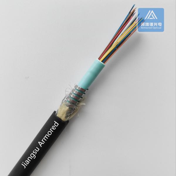26 Core Fiber Optic Cable Multi Mode Armored Black TPU 10.0mm Rodent Resistant FTTH