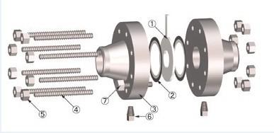 2 -24 Inch Orifice Plate Flange ASTM B564 UNS N08020 , ASME B16.36 Alloy 20 Flanges
