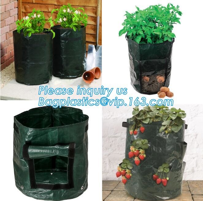 China factory supply irrigation system pe pipe price Ldpe pipe,25mm Garden irrigation PE pipe,Polyethylene PE Flexible P