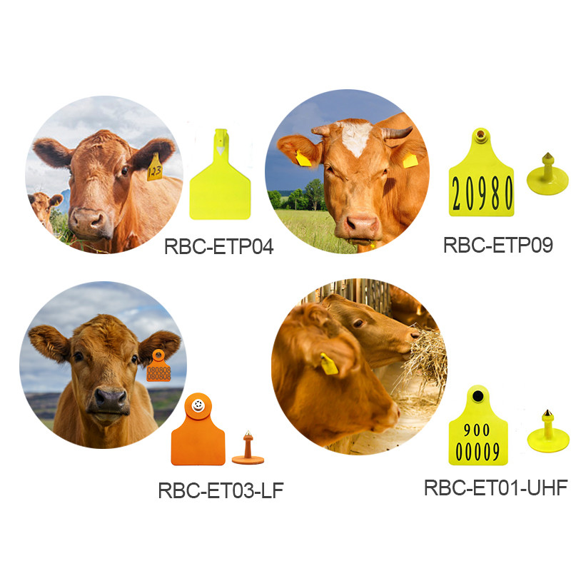 Cattle Management RFID Livestock Tags Animal Recording