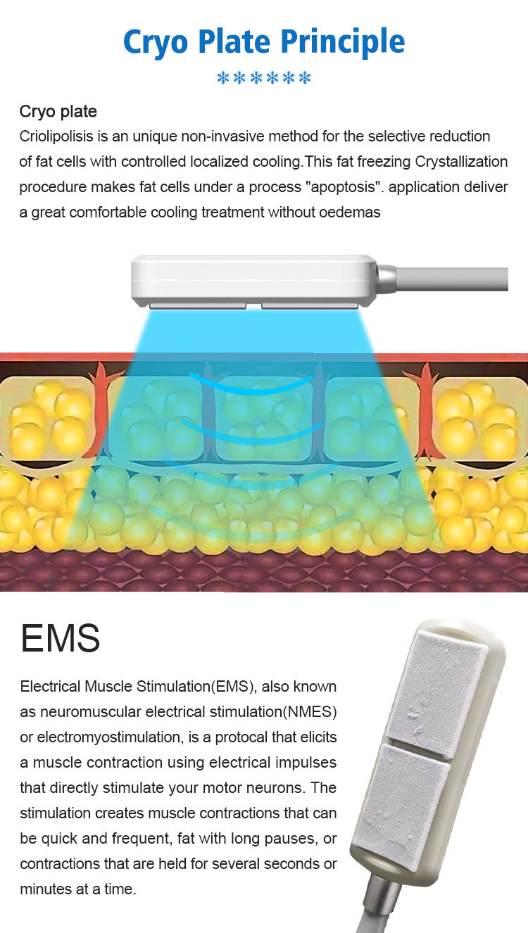 Non Surgical Body Shaping Slimming Machine 1100W With 10D Contour System