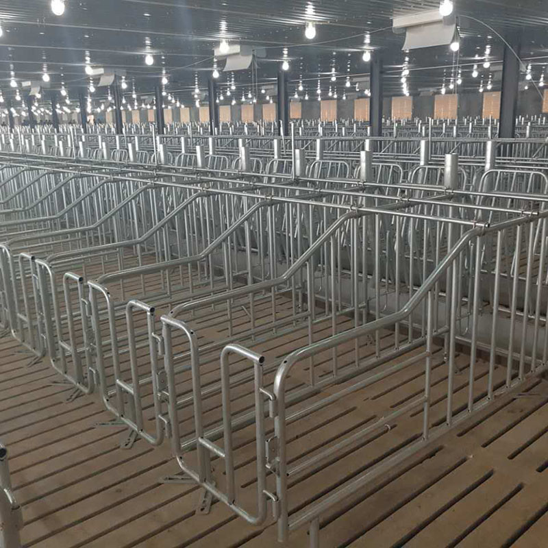 2.5 - 30 Tons Silo Piggery Farm Equipment Swine Breeding Equipment ISO9001