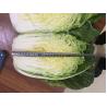 Buy cheap Good Taste Flathead Cabbage / Improve Digestion Early Round Dutch Cabbage from wholesalers