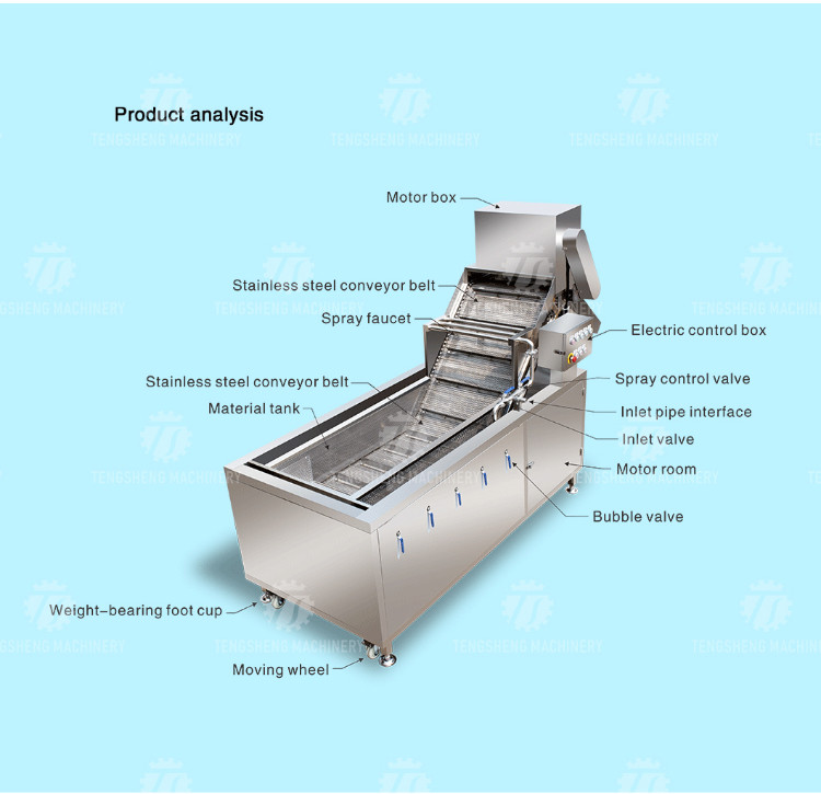 2.6KW Fruit and vegetable cleaning and processing equipment automatic washing machine conveyor belt bubble cleaning mach