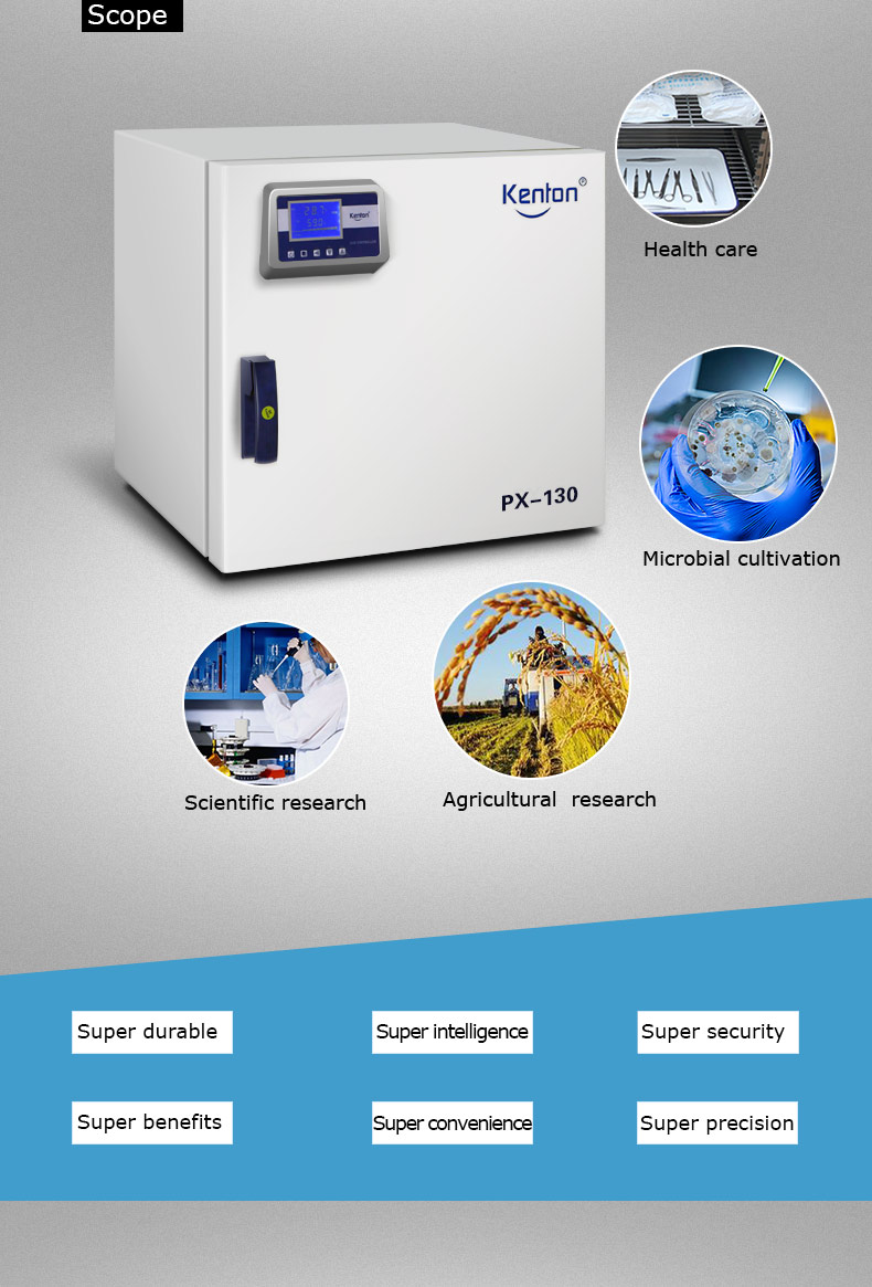 High Precision Bacteriological Incubator SUS304 Inner Laboratory Incubator