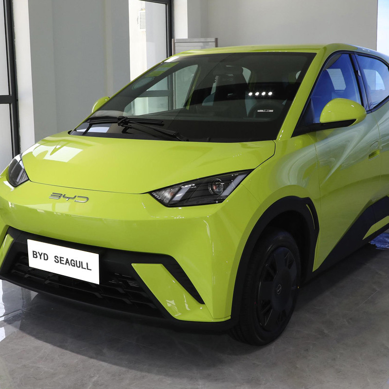 2024 China New Energy Vehicles Pure BYD Flying 405km Seagull EV Electric Car