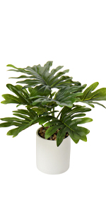 fake plant decor