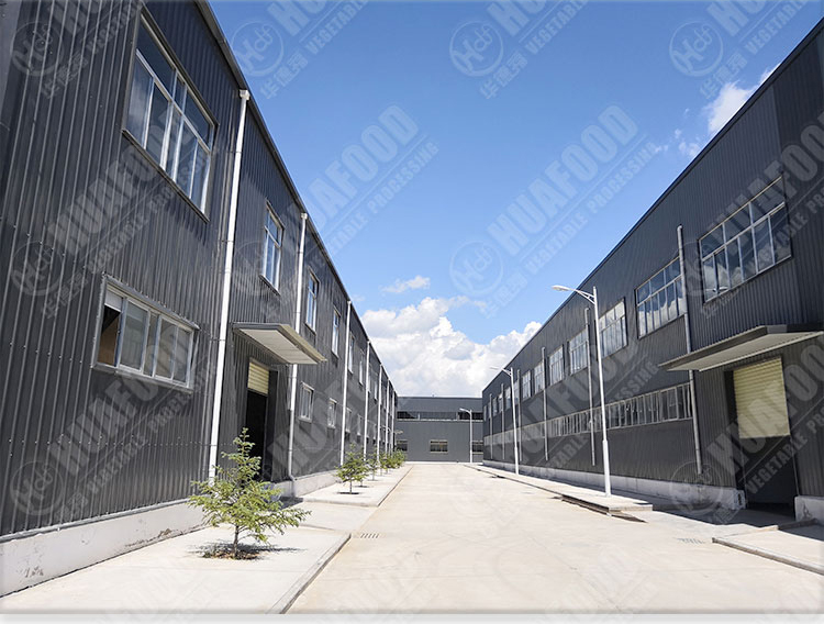 Lotus Root Spray Dried Ginger Powder Machine Dezhou