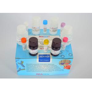 Accurate Veterinary Residue Test Kit Lincomycin ELISA Test Kit Certificate