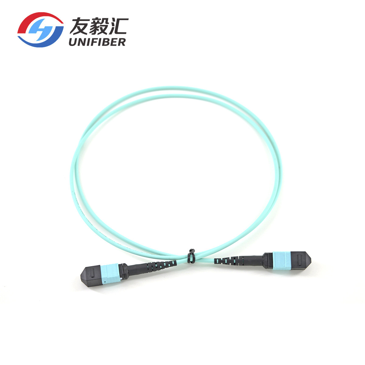 Plenum OFNP 24 Fiber 1M OM3 OM4 MPO MTP Trunk Cable
