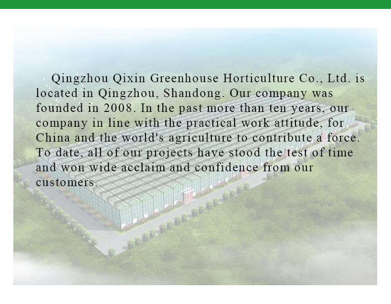 Double Layer PO Greenhouse Tunnel for Precise Temperature Control