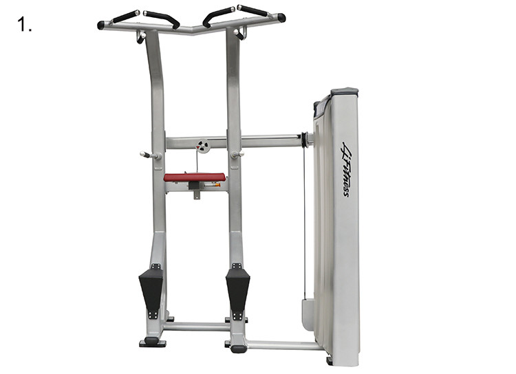 Assisted Dip Chin Strength Training Machine , Professional Matrix Bodybuilding Equipment