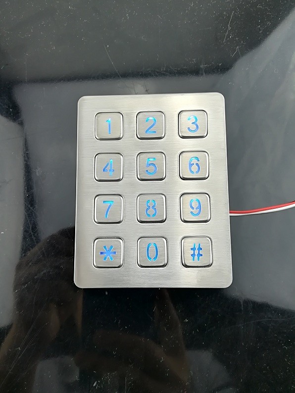 12 keys Panel mounted stainless steel illuminanted keypad with male pin out connector