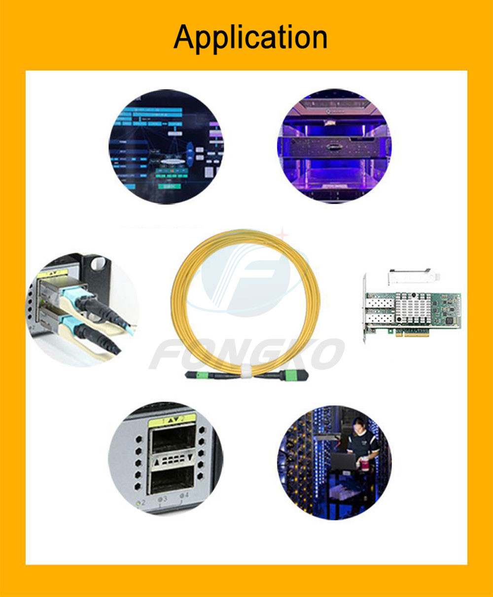 MPO APC singlemode 1 meter 10G fiber jumper 8 12 24core 40G100G 1310 1550NM support customization