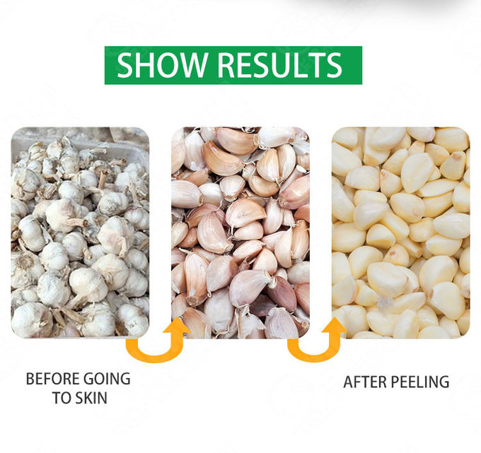 30kg/H Stainless Steel Commercial Garlic Peeler Dry Garlic Peeling Machine