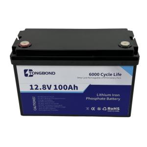 Heavy Duty LiFePO4 Lithium Battery 12V 100Ah With Integrated BMS