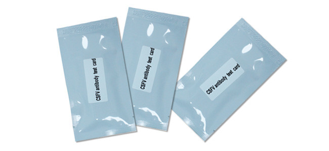 Classical Swine Fever Virus Porcine Test Kit Antibody Test Card For Swine 50Tests/Kit GMP