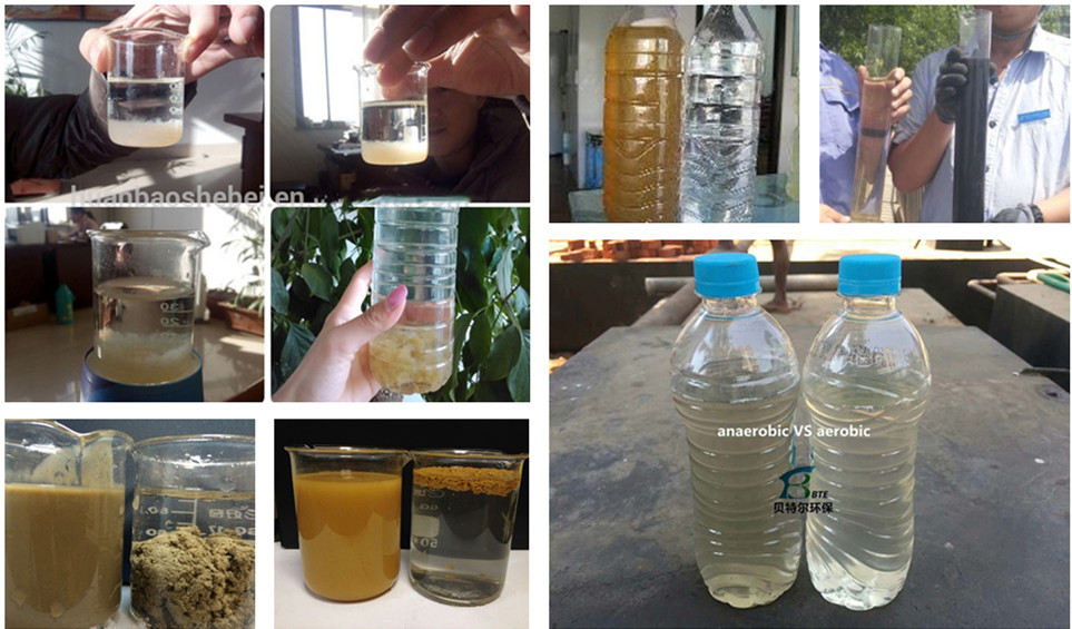 Silver/Green Sewage Separation Pretreatment with Dissolved Air Flotation Machine