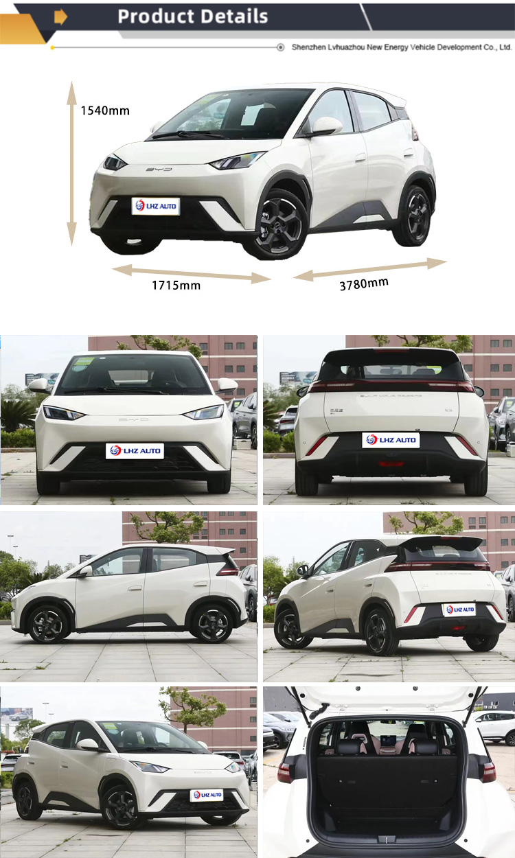 2024 BYD Haiou Flying PEP FREE Version Pure Electric Small Car with 30.08kWh Lithium Battery