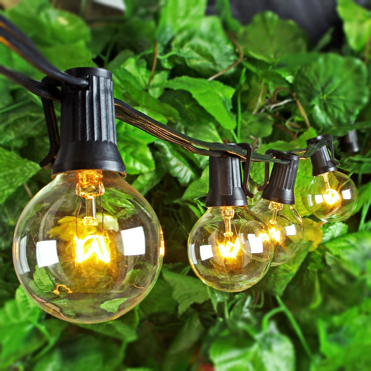 CE ROHS Certified LED Christmas Outdoor String Lights 50000 Hour Working Lifetime