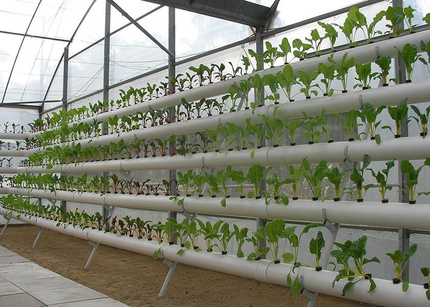 Multi Tier NFT Hydroponics System Strong Adaptability For High Density Planting