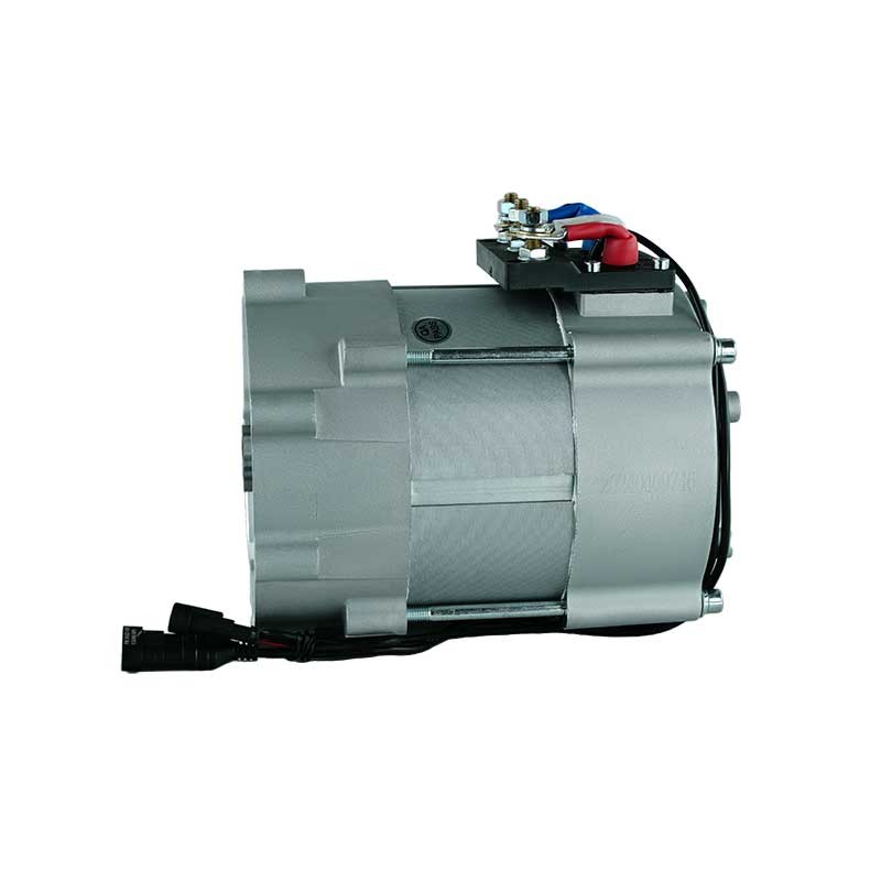 Electric Golf Cart Motor