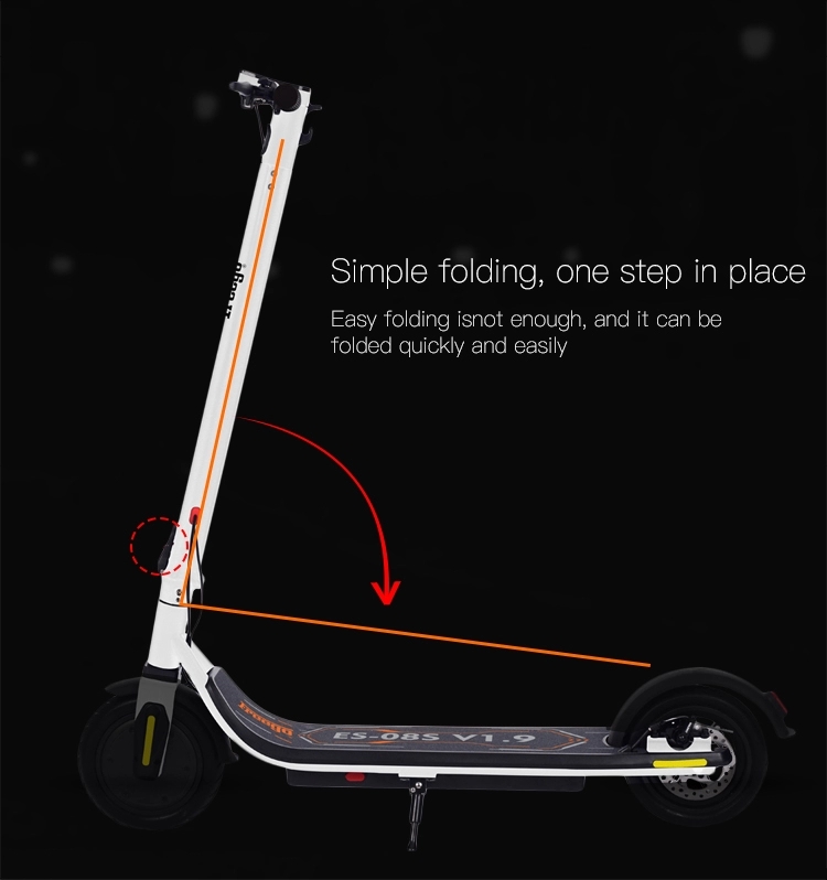 Outdoor Powerful Electric Scooter , Adult Electric Kick Scooter With App