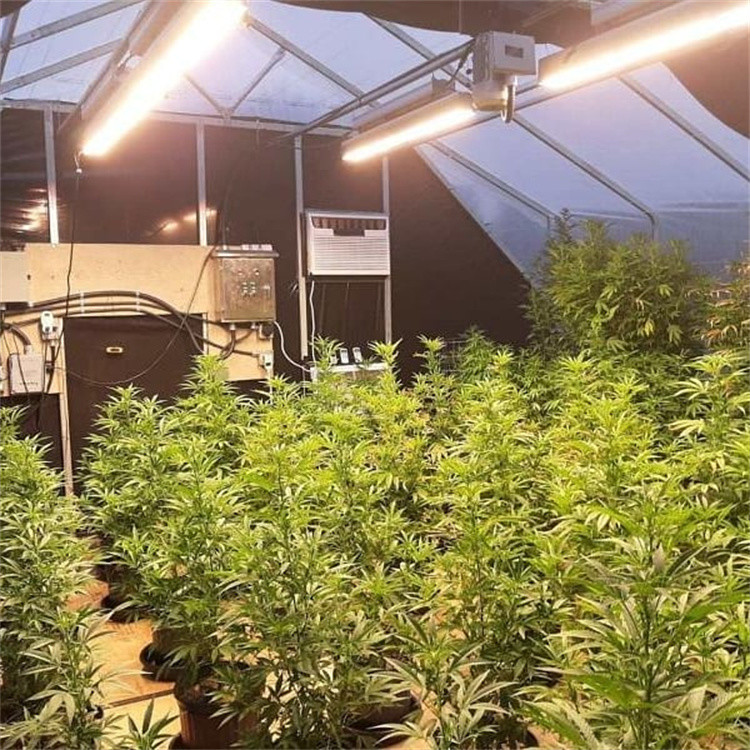 Customizable Width Height and Length for Automatic Blackout Greenhouse to Fit Your Space