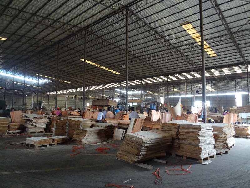 Construction WBP 1220*2440mm Film Faced Shuttering Plywood