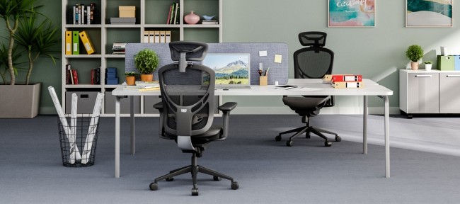 IVINO Greenguard Ergonomic Chair Mesh Back Foam Seat Adjustable Swivel Ergo Office Chair