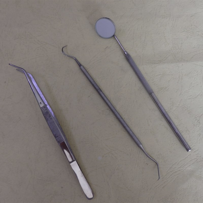 3 Sets Oral Instruments Dental Hygiene Tool Kit Teeth Hygiene Explorer Probe Care Hook