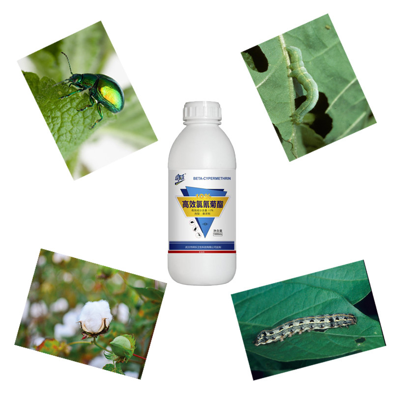 SC Agrochemical 10% Beta Cypermethrin Insecticide Pesticide For Vegetables Fruit Trees