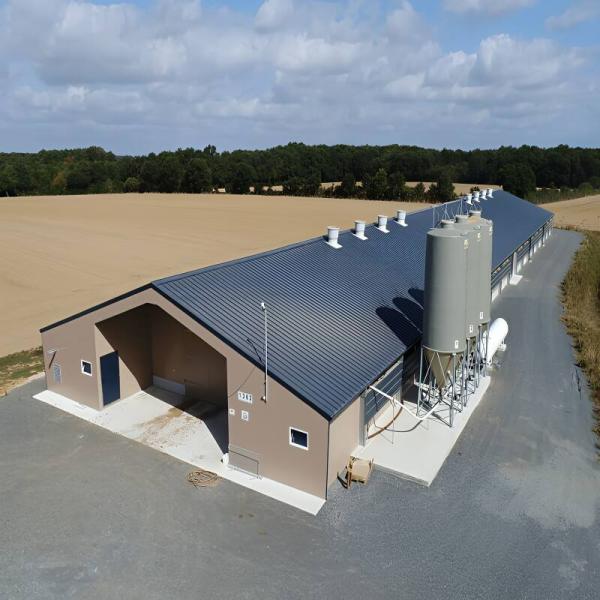 Quality Prefab Light Steel Chicken House Shed Poultry Farm Building for sale