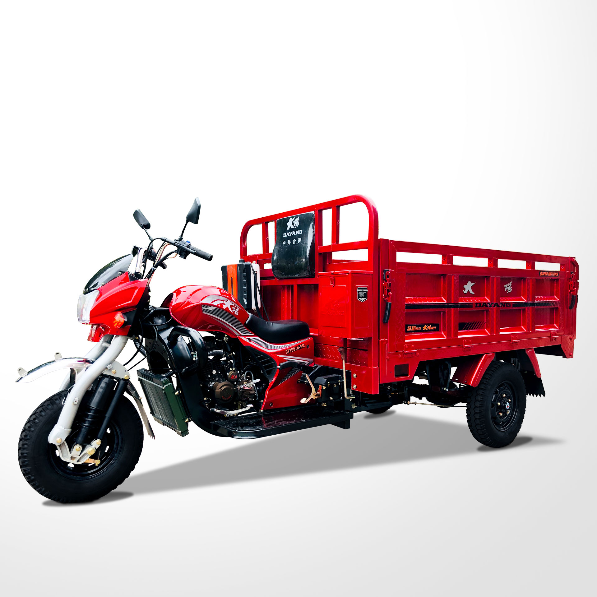 DAYANG Cargo Tricycle with Rear Axle Floating Booster King Three Wheels Motorcycle