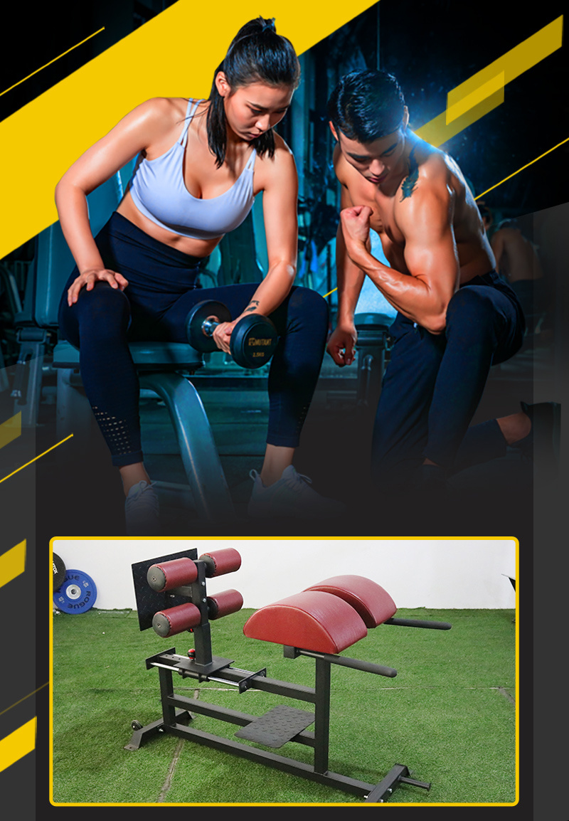 Gym Use and Home Use Back Extension Ab Bench Commercial Roman Chair