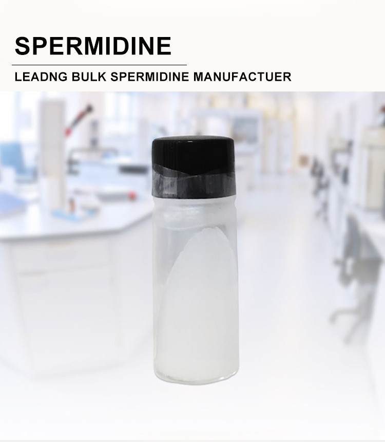 Sealed Storage Spermidine Powder CAS 124-20-9 For Bulk And Light Protection