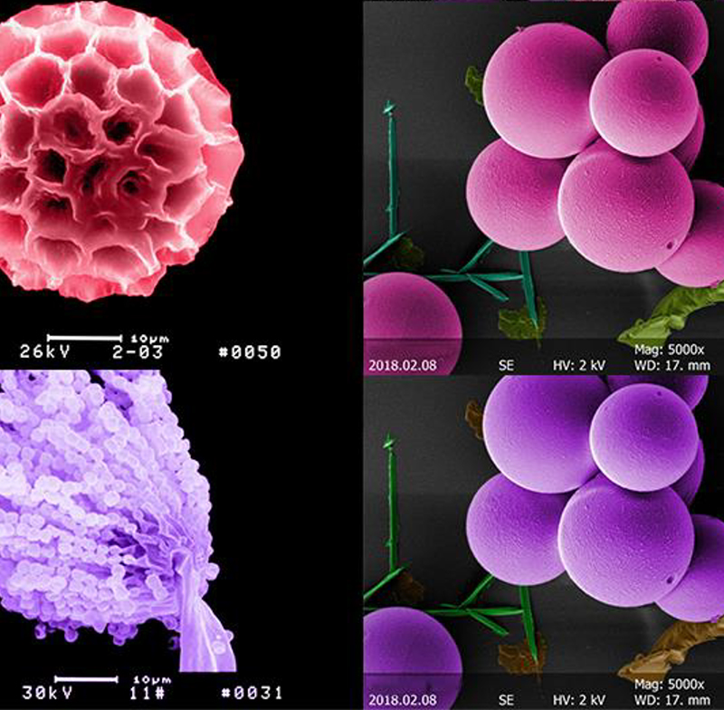 6x~1000000x Scanning Optical Microscope Digital Five Axis Motorized Stage
