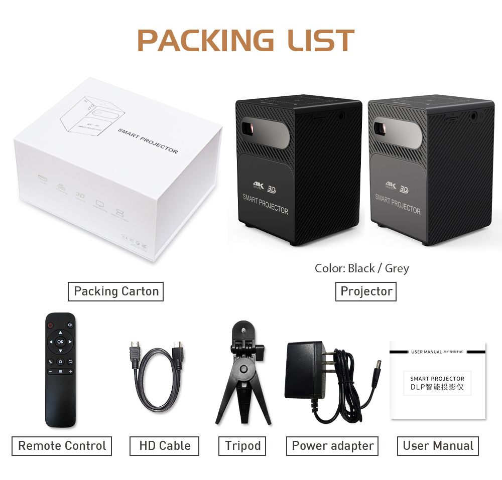Flyin P18 Free Style Home TheaterSmart Portable DLP LED Mini Pocket Black Wireless Customizable Projector