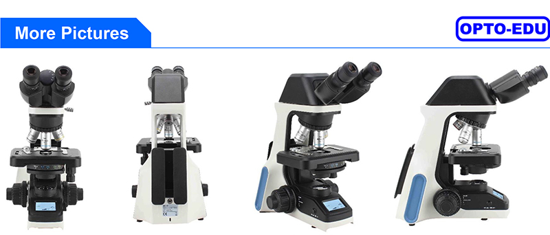 A12.1030-B Laboratory Binocular Compound Light Microscope 100x