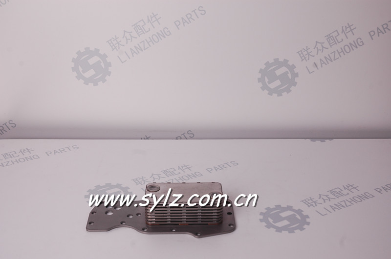 Hot sale Chinese Cummins Diesel Engine ISDe Oil Cooler Core 3975818