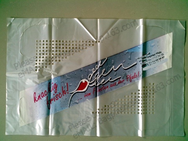 Clear Poly Sheeting Lay Flat Tubing Layflat Tubing Tubing Bags Auto Bags Polythene Sheet Polythene Packaging Film, Bagea