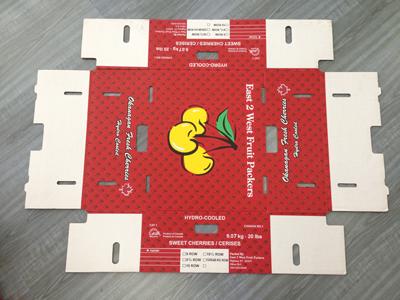 Corrugated Cardboard box For Packing