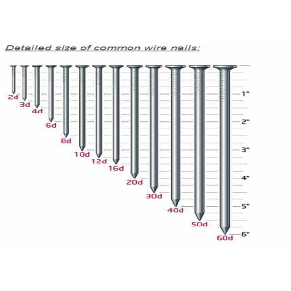 Polished Surface Common Iron Nails Flat Head Type Strong Tensile For Construction